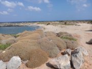 Stavros Ein wirklich erstaunliches Grundstück am Meer in Stavros, Chania Grundstück kaufen